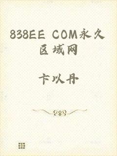 838EE COM永久区域网
